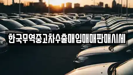 광주광역시 북구 연제동 중고차매입 전문 한국무역중고차수출매입매매판매시세
