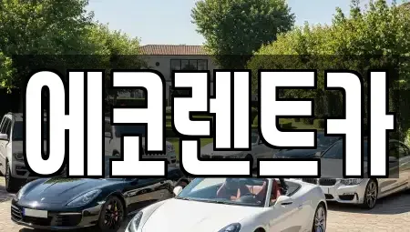 광주광역시 북구 청풍동 렌트카 전문 에코렌트카