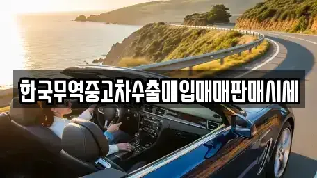 광주광역시 북구 청풍동 중고차매입 전문 한국무역중고차수출매입매매판매시세