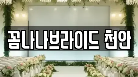 꼼나나브라이드 천안