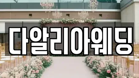 다알리아웨딩