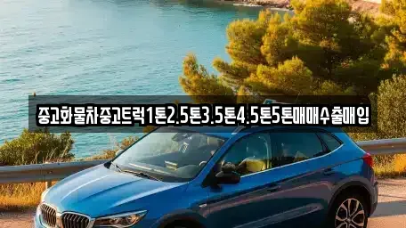 대구 군위군 삼국유사면 중고차매매 전문 중고화물차중고트럭1톤2.5톤3.5톤4.5톤5톤매매수출매입