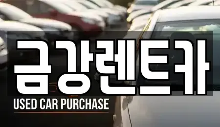 대구 남구 봉덕동 렌트카 전문 금강렌트카