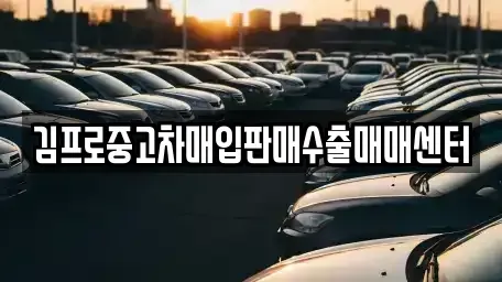 대구 남구 봉덕동 중고차매입 전문 김프로중고차매입판매수출매매센터