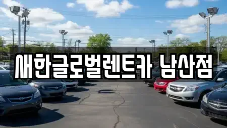 대구 남구 이천동 단기렌트카 전문 새한글로벌렌트카 남산점
