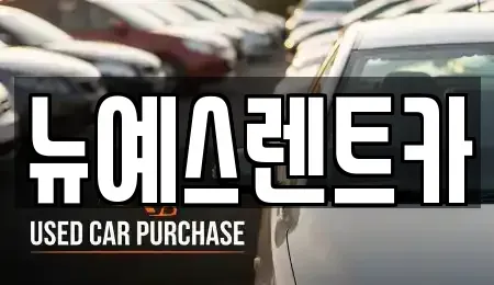 대구 남구 이천동 렌트카 전문 뉴예스렌트카