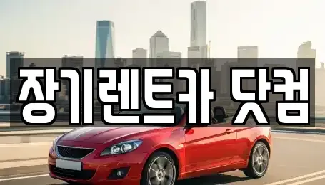 대구 남구 이천동 장기렌트카 전문 장기렌트카 닷컴