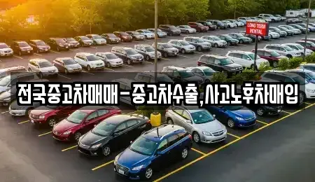대구 남구 이천동 중고차매매 전문 전국중고차매매-중고차수출,사고노후차매입