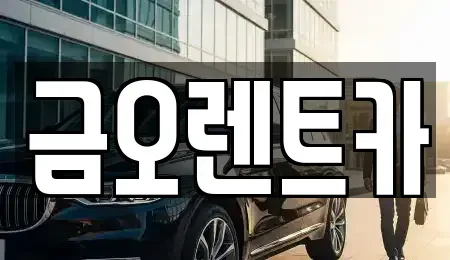대구 달성군 옥포읍 렌트카 전문 금오렌트카