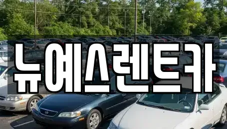 대구 달성군 옥포읍 렌트카 전문 뉴예스렌트카