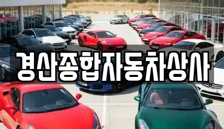 대구 동구 금강동 중고차 전문 경산종합자동차상사