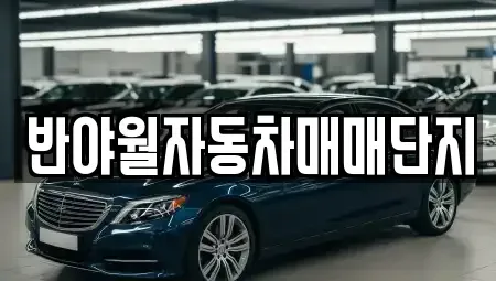 대구 동구 금강동 중고차 전문 반야월자동차매매단지