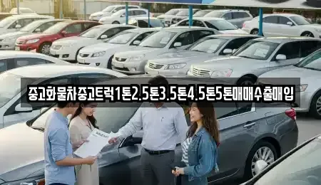 대구 동구 금강동 중고차,렌트카,중고차매입,중고차매매,장기렌트카,단기렌트카