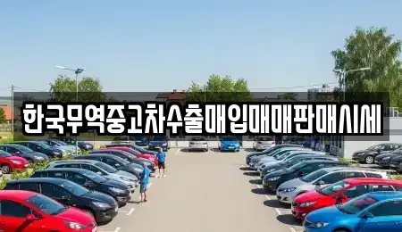 대구 동구 금강동 중고차매입 전문 한국무역중고차수출매입매매판매시세