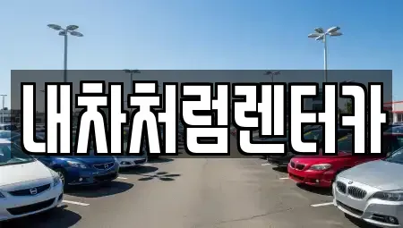 대구 동구 사복동 렌트카 전문 내차처럼렌터카