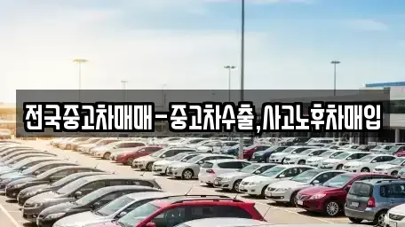 대구 동구 사복동 중고차매입 전문 전국중고차매매-중고차수출,사고노후차매입