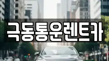 대구 동구 지저동 렌트카 전문 극동통운렌트카