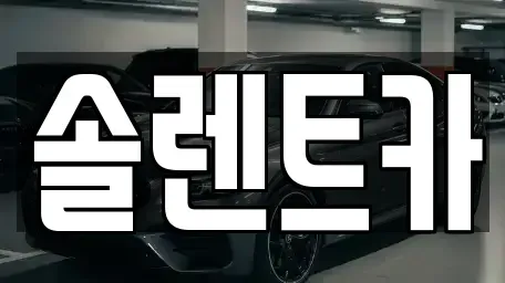 대구 동구 지저동 렌트카 전문 솔렌트카