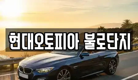 대구 동구 지저동 중고차 전문 현대오토피아 불로단지