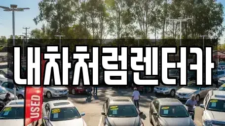 대구 북구 조야동 렌트카 전문 내차처럼렌터카