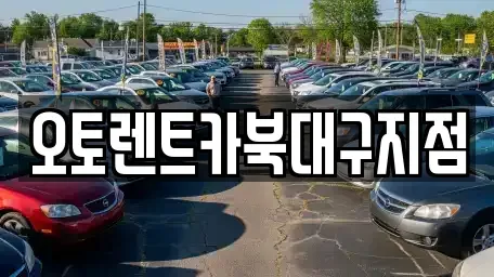 대구 북구 조야동 렌트카 전문 오토렌트카북대구지점