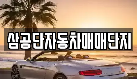 대구 북구 조야동 중고차 전문 삼공단자동차매매단지