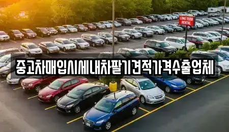 대구 북구 조야동 중고차매입 전문 중고차매입시세내차팔기견적가격수출업체