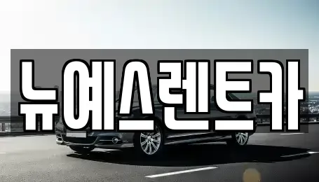 대구 중구 대신동 렌트카 전문 뉴예스렌트카