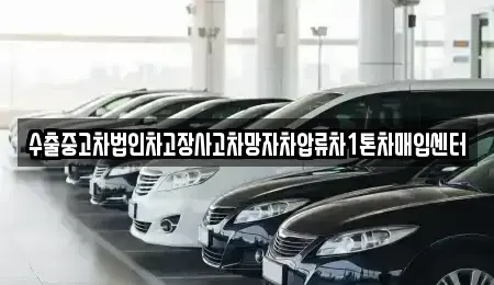 대구 중구 대신동 중고차 전문 수출중고차법인차고장사고차망자차압류차1톤차매입센터