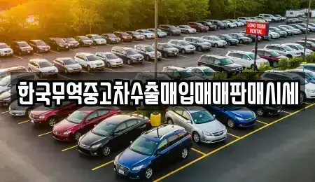 대구 중구 대신동 중고차 전문 한국무역중고차수출매입매매판매시세