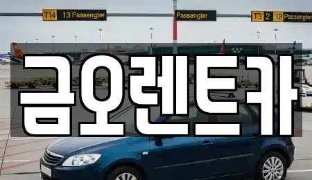 대구 중구 용덕동 장기렌트카 전문 금오렌트카