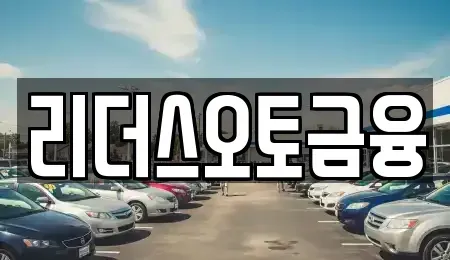 대구 중구 용덕동 장기렌트카 전문 리더스오토금융