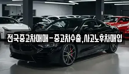 대구 중구 용덕동 중고차 전문 전국중고차매매-중고차수출,사고노후차매입