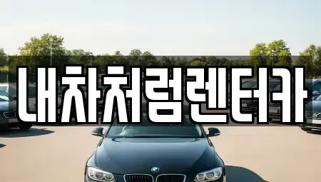 대구광역시 달서구 성당동 렌트카 전문 내차처럼렌터카