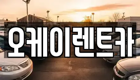 대구광역시 달서구 성당동 렌트카 전문 오케이렌트카