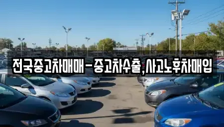 대구광역시 달서구 성당동 중고차 전문 전국중고차매매-중고차수출,사고노후차매입