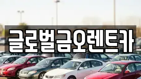 대구광역시 달서구 유천동 렌트카 전문 글로벌금오렌트카