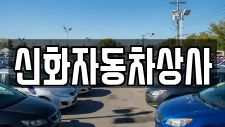 대구광역시 달서구 유천동 중고차매매 전문 신화자동차상사