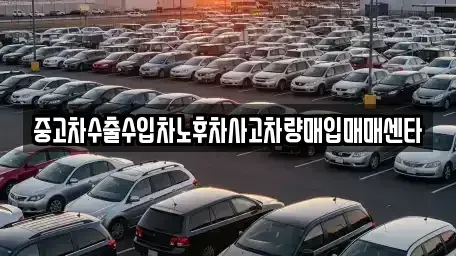 대구광역시 달서구 유천동 중고차매입 전문 중고차수출수입차노후차사고차량매입매매센타
