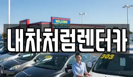 대구광역시 달서구 이곡동 렌트카 전문 내차처럼렌터카