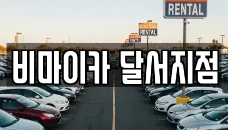 대구광역시 달서구 이곡동 렌트카 전문 비마이카 달서지점