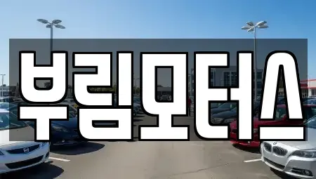 대구광역시 북구 국우동 중고차 전문 부림모터스