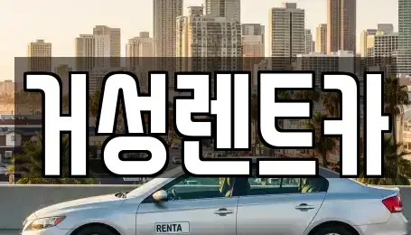 대구광역시 서구 중리동 렌트카 전문 거성렌트카