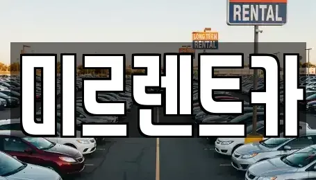 대구광역시 서구 중리동 렌트카 전문 미르렌트카