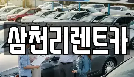 대구광역시 서구 중리동 장기렌트카 전문 삼천리렌트카