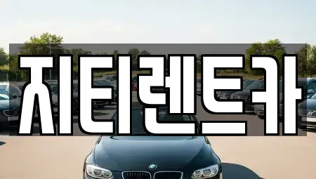 대구광역시 서구 중리동 장기렌트카 전문 지티렌트카