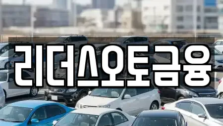 대구광역시 중구 대신동 장기렌트카 전문 리더스오토금융