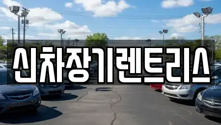 대구광역시 중구 대신동 장기렌트카 전문 신차장기렌트리스