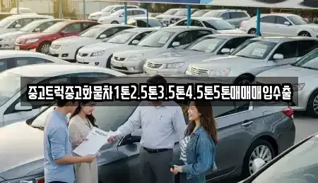 대구광역시 중구 대신동 중고차 전문 중고트럭중고화물차1톤2.5톤3.5톤4.5톤5톤매매매입수출