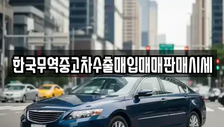 대구광역시 중구 대신동 중고차 전문 한국무역중고차수출매입매매판매시세